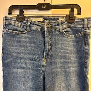 Used Anthropology Pilcro and the Letterpress denim jeans Size 31